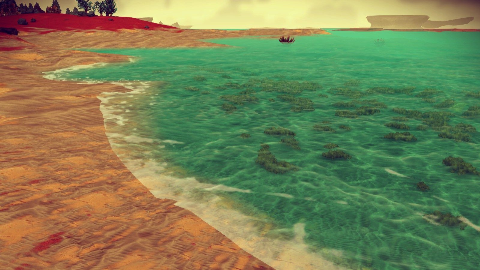 Crystal clear water