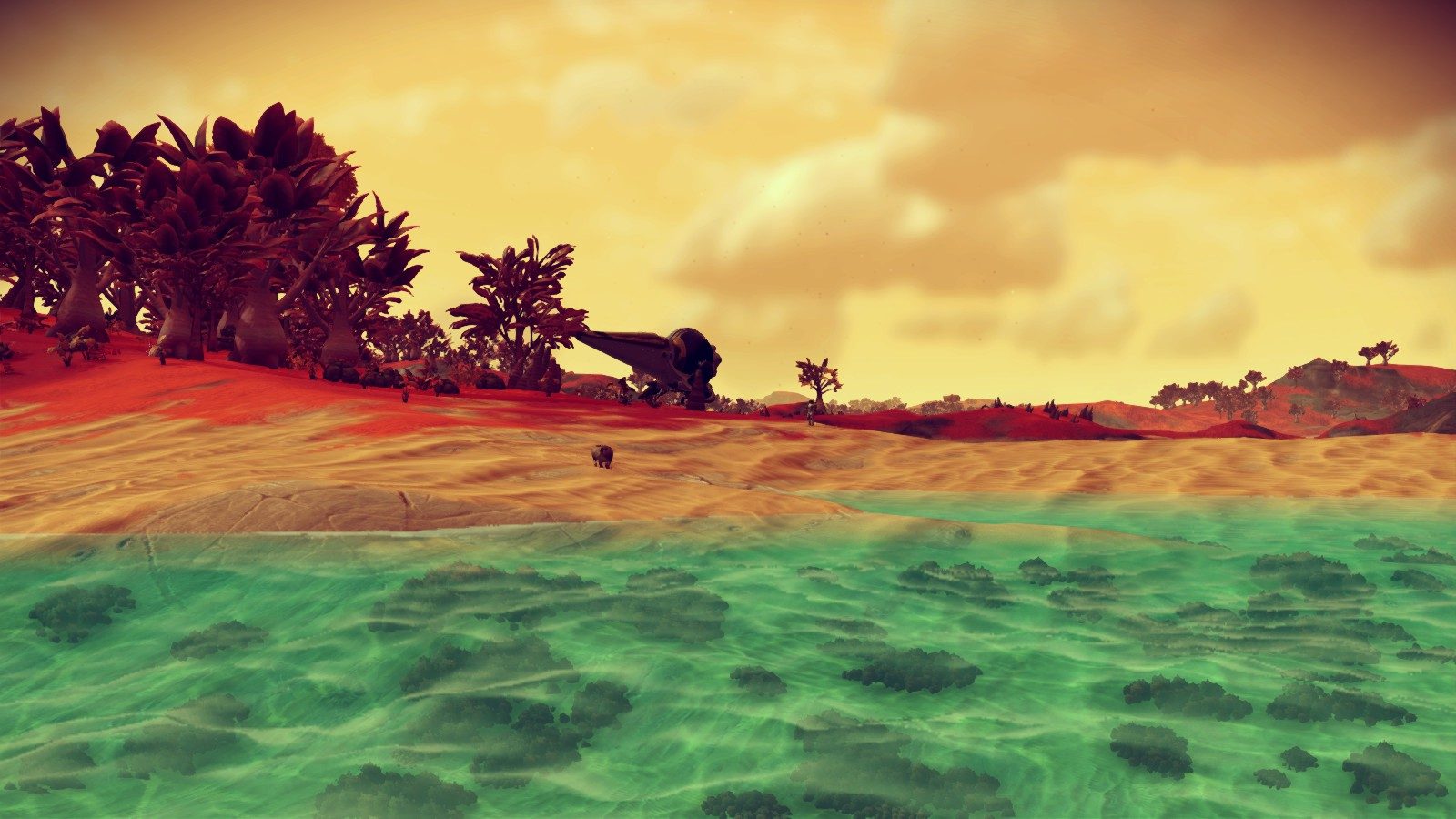 Crystal clear water