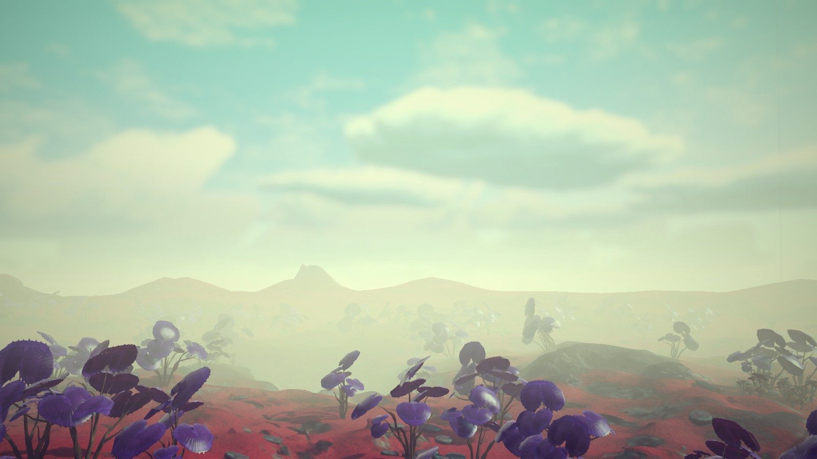 Chromatic Skies