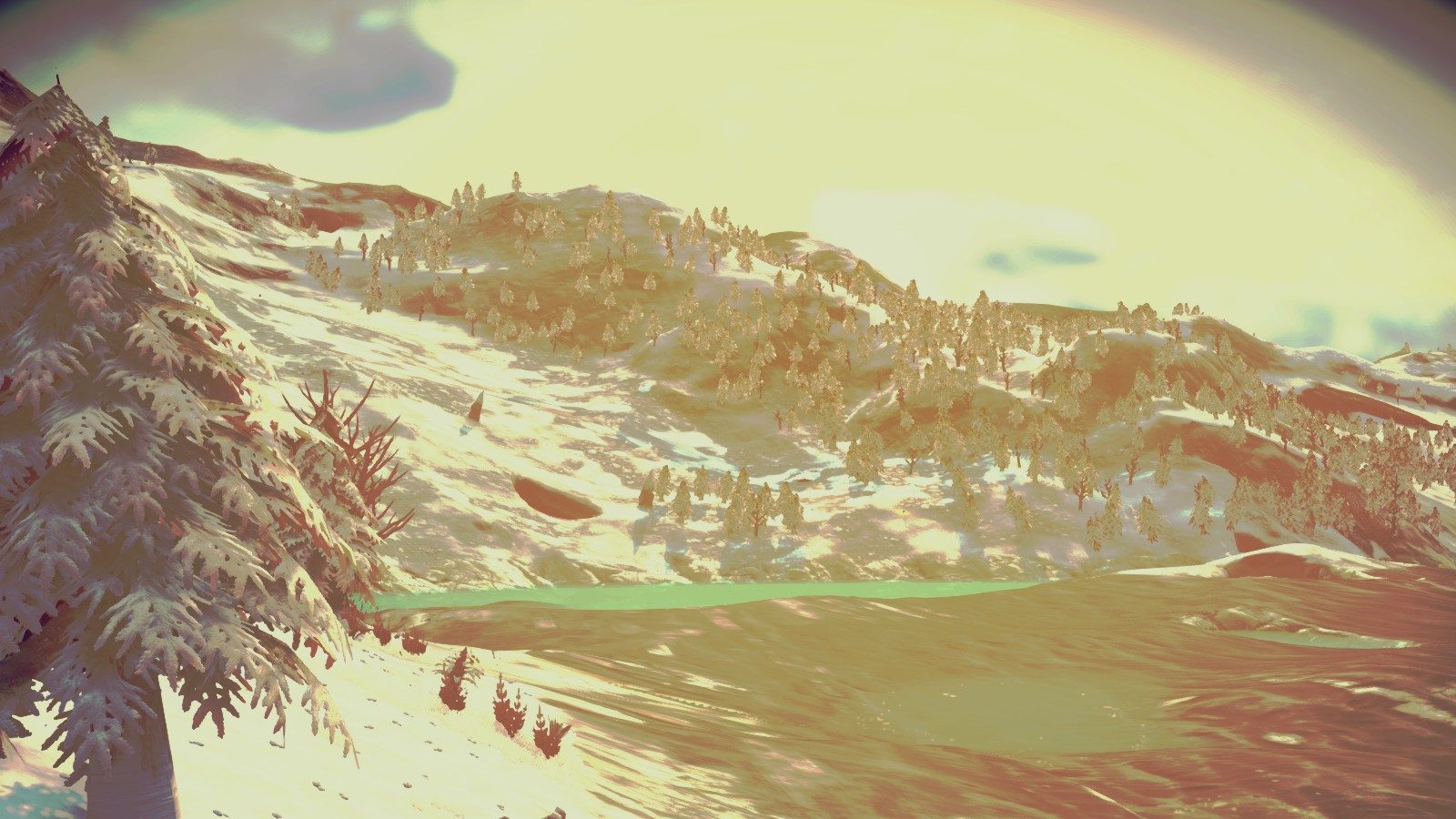 Custom FILTERS