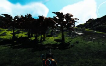 Natural Lighting