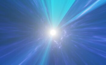 Portal Warp