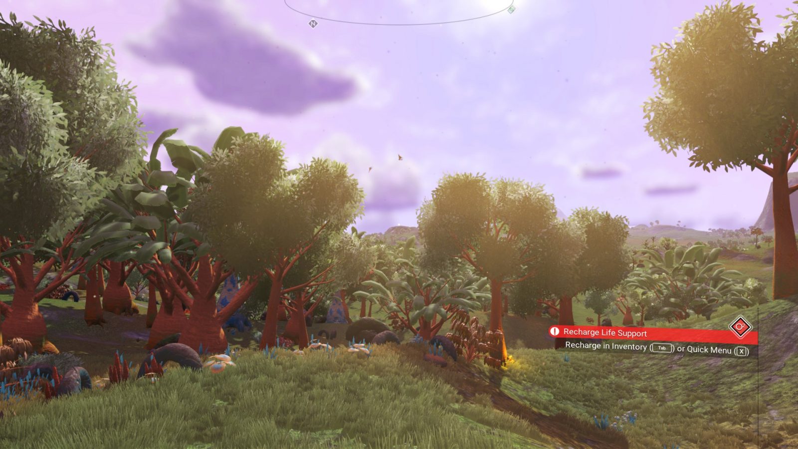 Lucid Lush