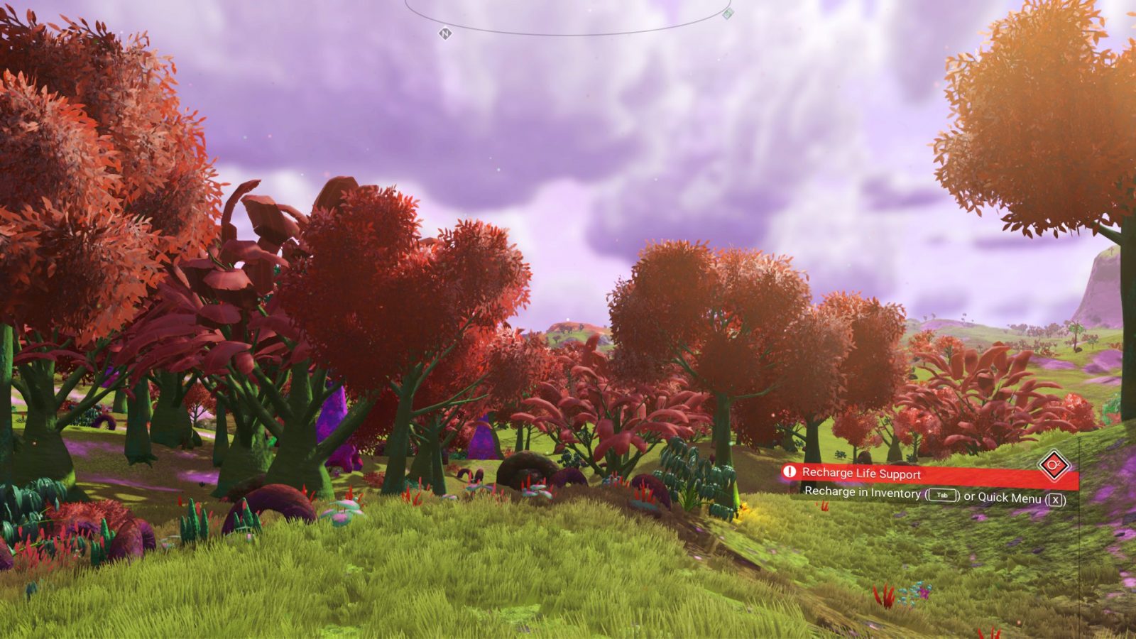 Lucid Lush