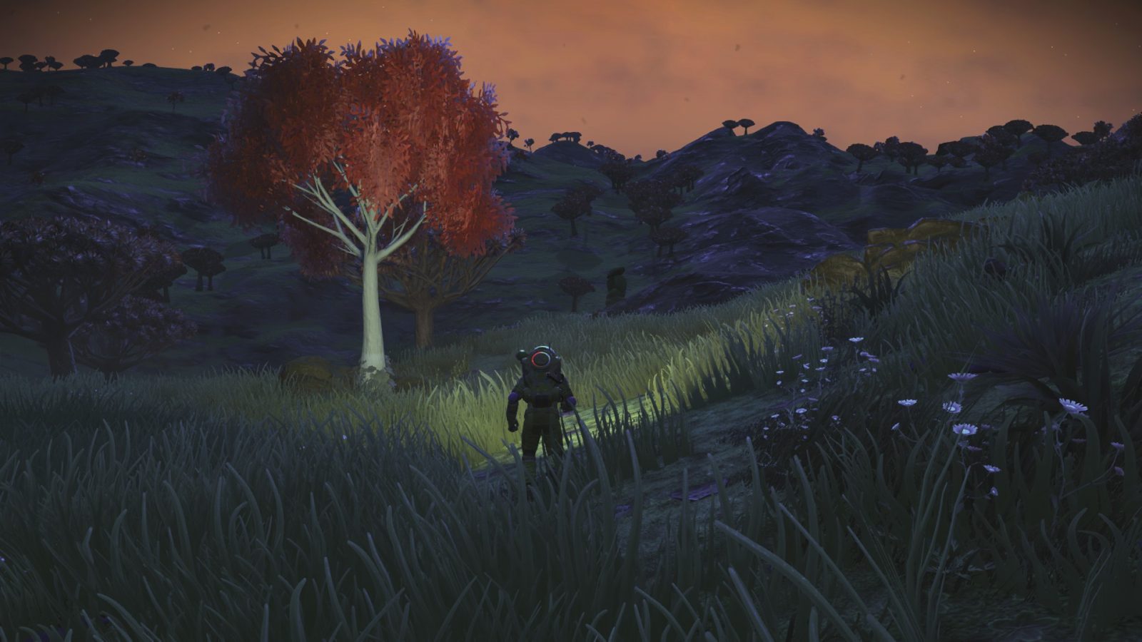 Ignacios Biomes (VISIONS Update)