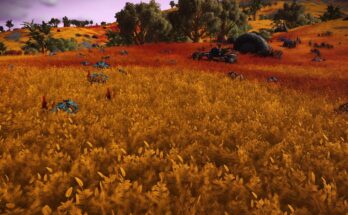 Multicolored Grass Restored