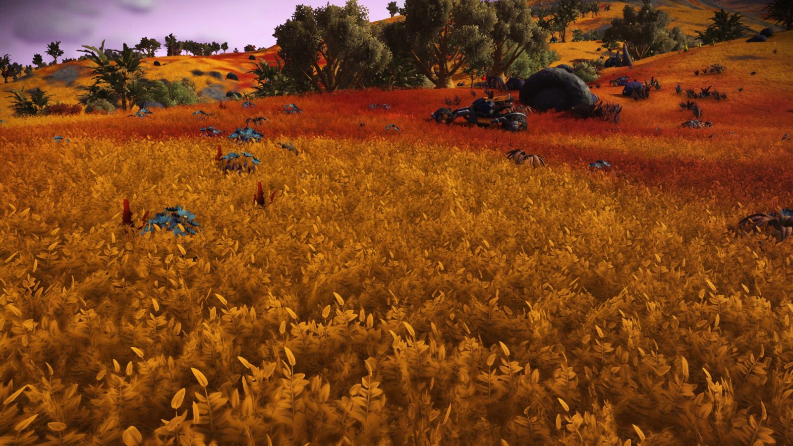 Multicolored Grass Restored
