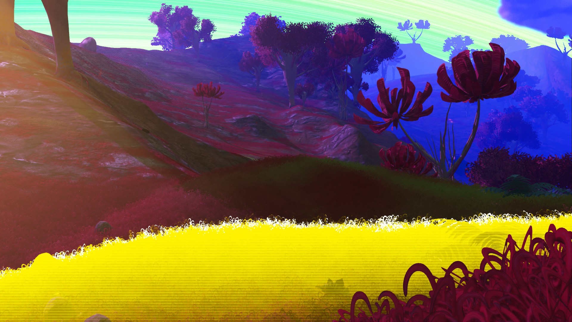 E3-Scan