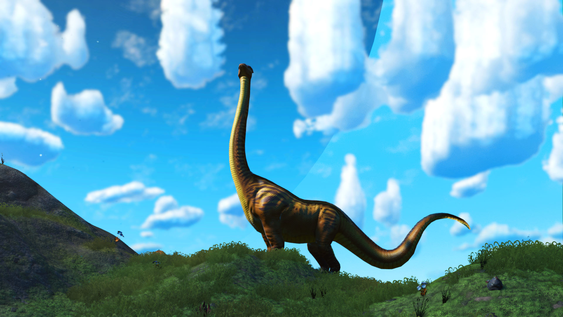 Daplokarus
