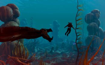 Open Water