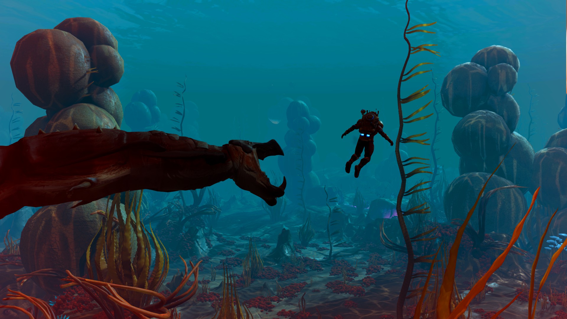 Open Water
