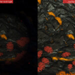 Better Torch Light 2.0