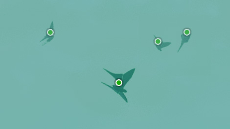 Bigger Creature Dots