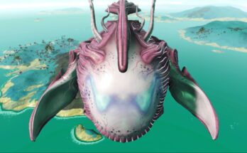 360 3rd Person Ship Camera