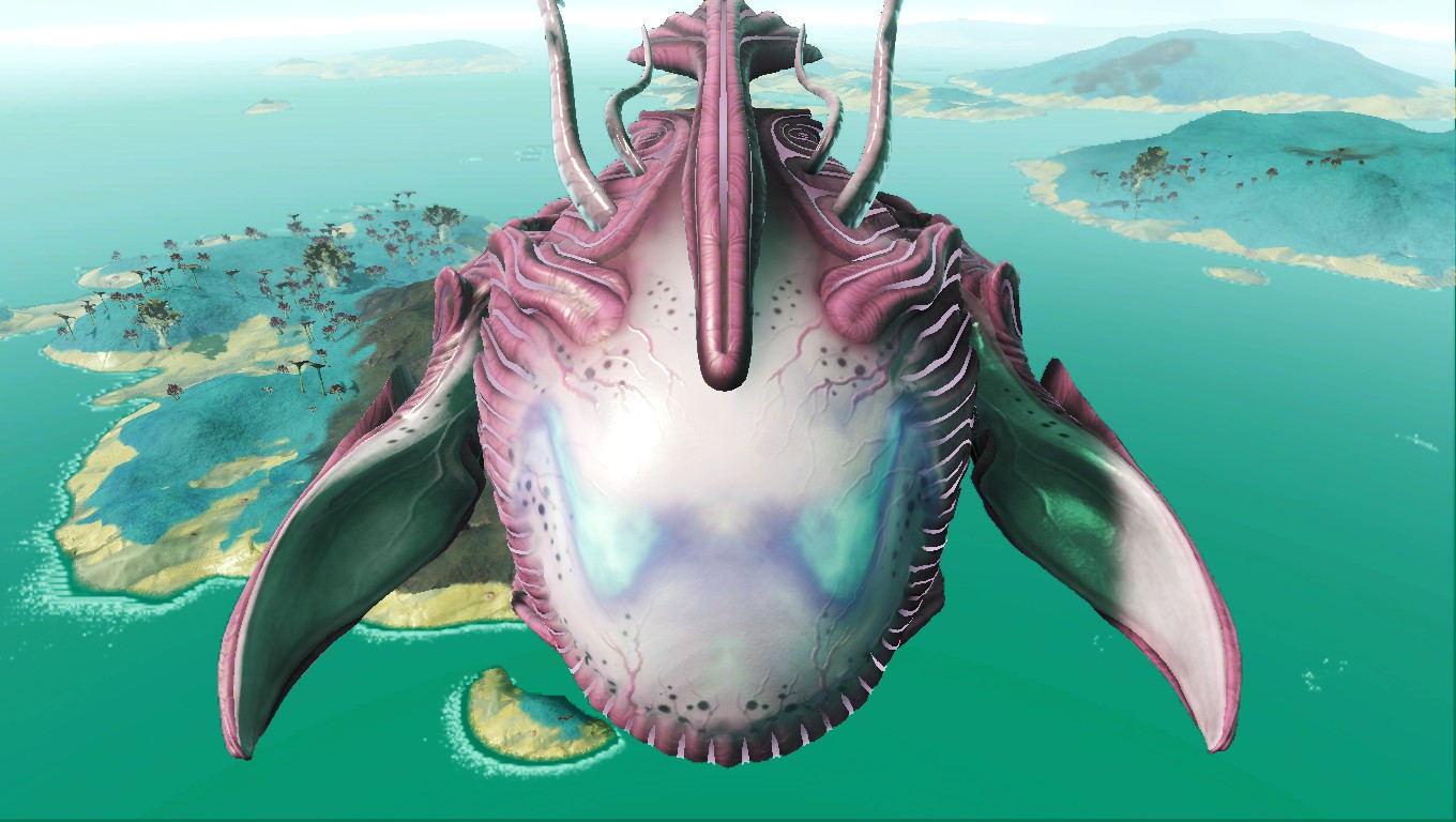 360 3rd Person Ship Camera