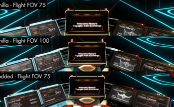 Ship Cockpit Increased FOV Minimum (Landed and Slow Flight Zoomed FOV Fix)