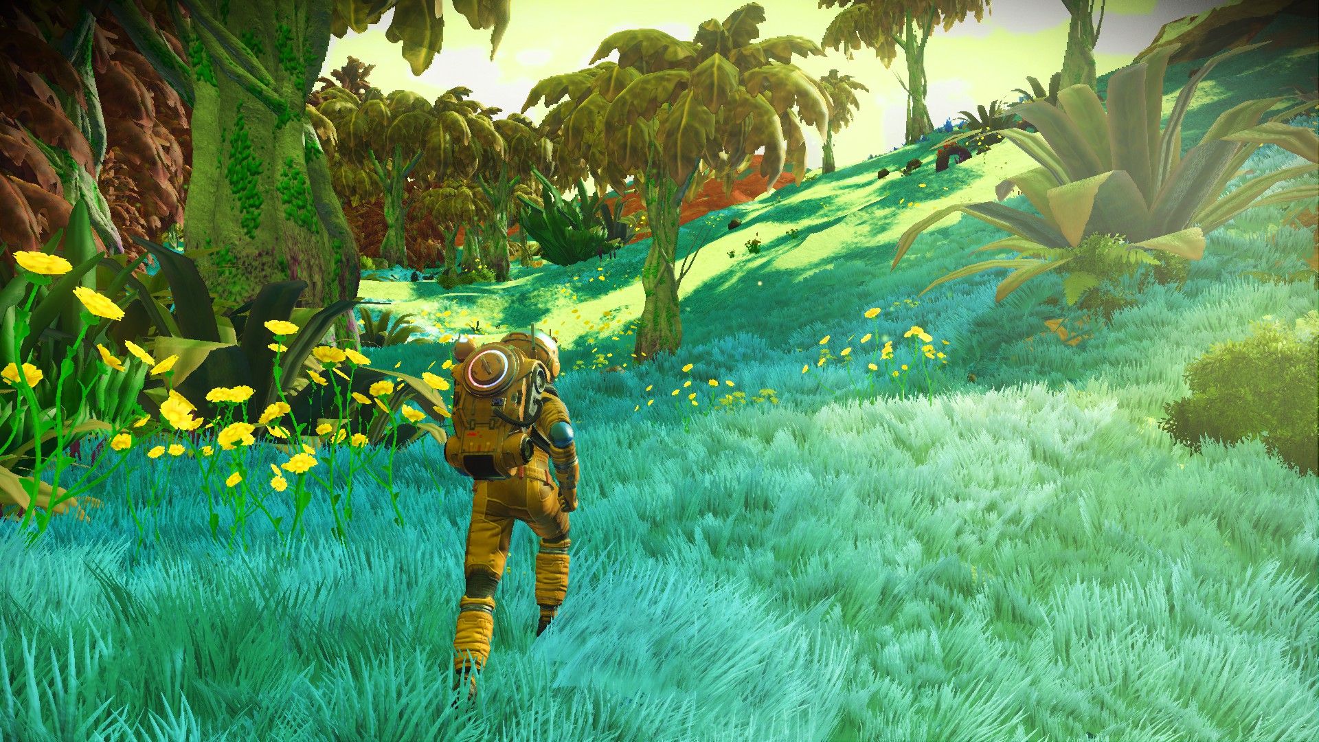 Project Valkyrie - A NMS Overhaul