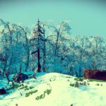 Frozen Worlds
