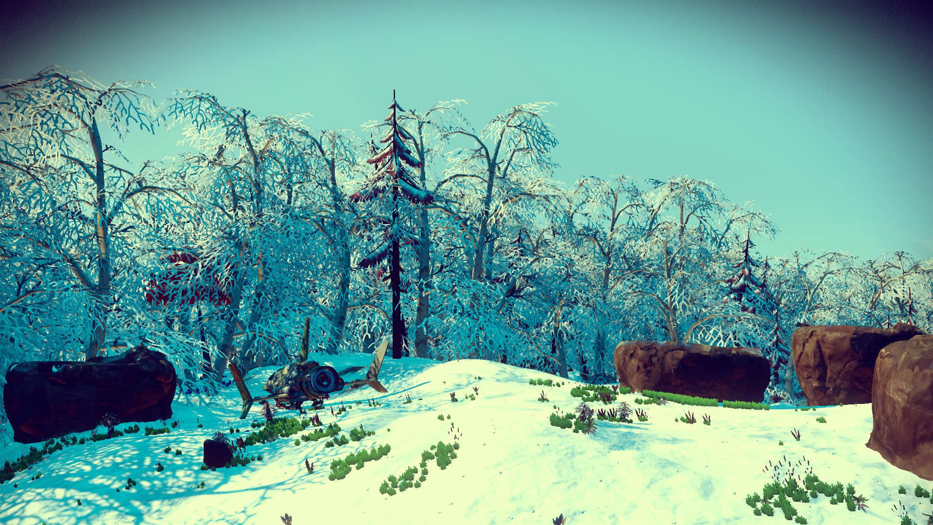 Frozen Worlds