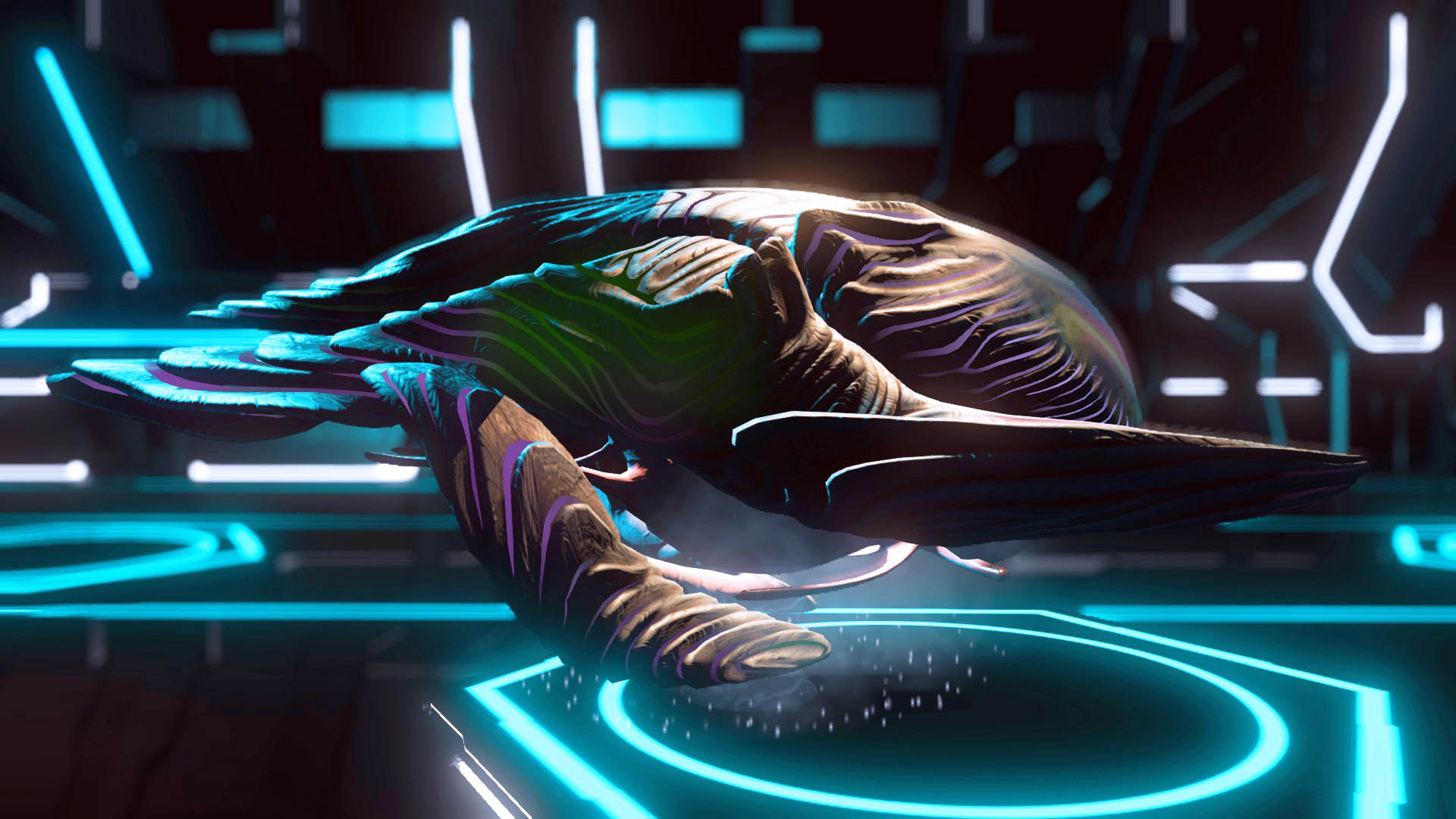G Ship - Buy Living Ships and More Exotics