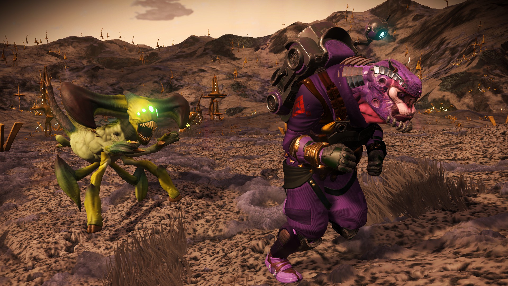 Hostile Encounters