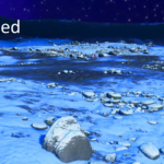 No Atmosphere No Plants (Mostly)