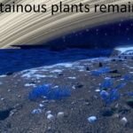 No Atmosphere No Plants (Mostly)