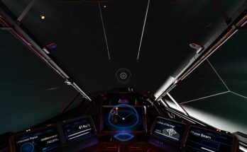 MadHoek's NMS_SHIPHUDCOLOR Revival