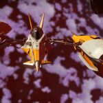 Solar Ship Sail Always Folded Or Unfolded