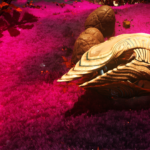 No Man's Sky RayTracing Shader