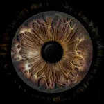4k Natural and Realisitic Eyes Textures V3.0