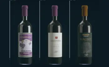 Bottles Labels Overhaul V0.2