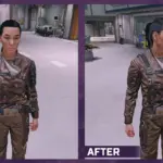 Freestar Security Leather Fix V1.0