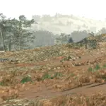 Starfield Frame Generation - Replacing FSR2 with DLSS-G V1.0.3