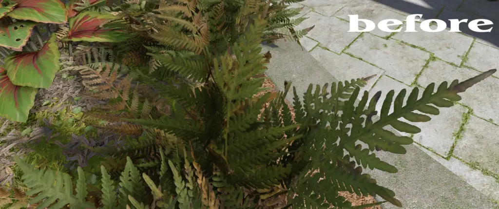 Fern HD V1.1