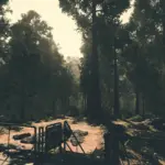 Enhanced Flora and POI Proc Gen V0.1a