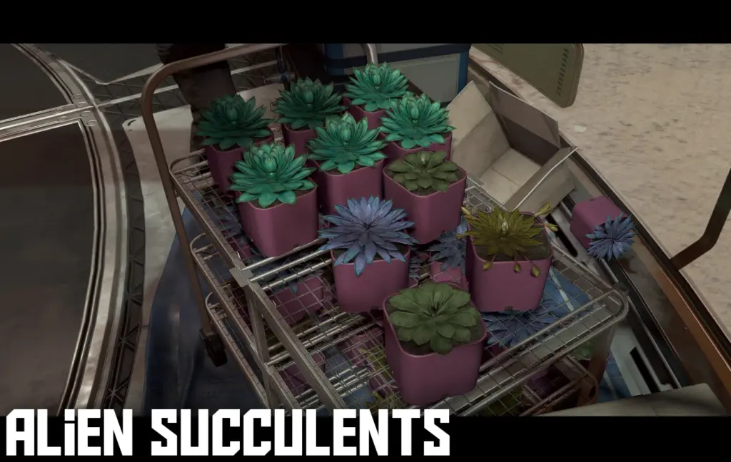 ALIEN SUCCULENTS - More Varied Succulent Colours