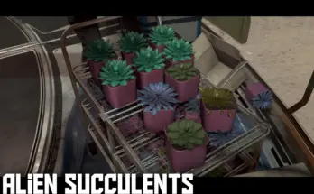 ALIEN SUCCULENTS - More Varied Succulent Colours
