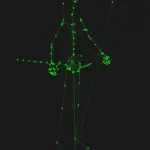 SF Extended Skeleton V1.1