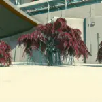 House Va'ruun Decoration V1.0