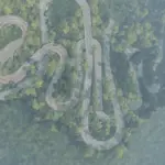 JAPANESE DOWNHILL TOUGE/DRIFT MAPS 0.30.x