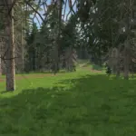 Rallying Dream v1.1