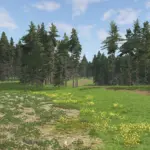 Rallying Dream v1.1
