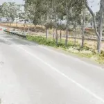 SNAKE GULLY v1.0 0.29.x