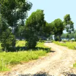 Sunshine Island v1.0