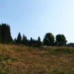 TAIGA MAP RELEASE v2.1