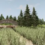 American Island v1.0