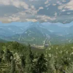 Gambler523 v1.0
