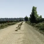 Map of Kormoran| Poland (Rally) V1.0