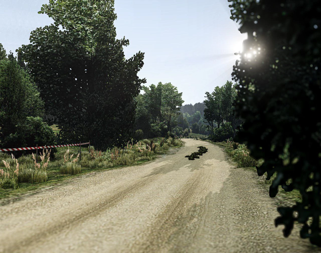 Map of Kormoran| Poland (Rally) V1.0